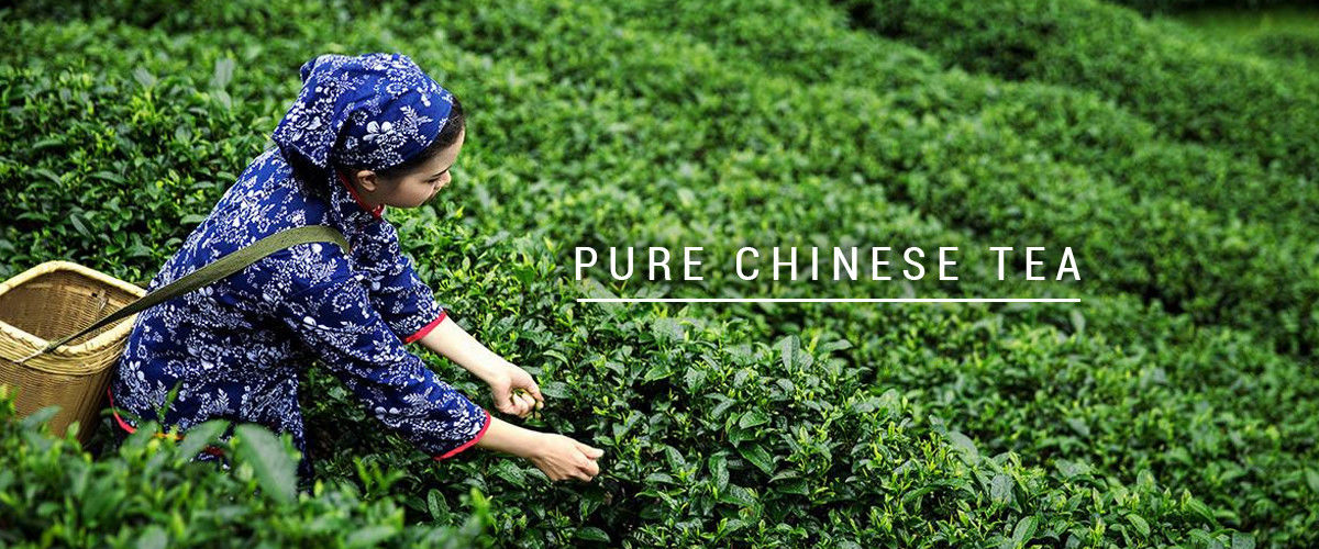 Cina il la cosa migliore tè organico del oolong sulle vendite